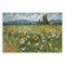 Stupell Industries Sunflower & Daisy Meadow Wall Plaque Art Design by Arlington Prints